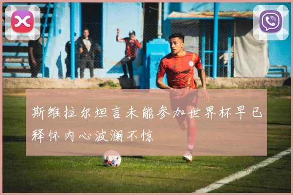 斯维拉尔坦言未能参加世界杯早已释怀内心波澜不惊